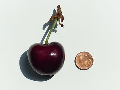 round bronze coin beside red fruit thumbnail