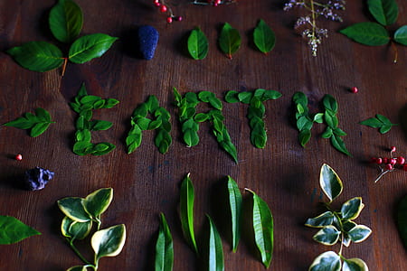 green leaves on brown wooden table thumbnail