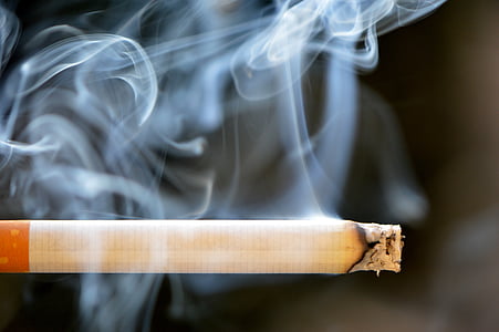 shallow focus photography white cigarette stick thumbnail