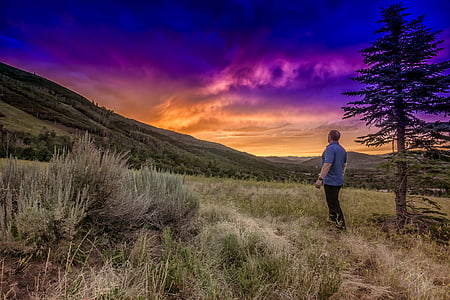 man standing near tree thumbnail