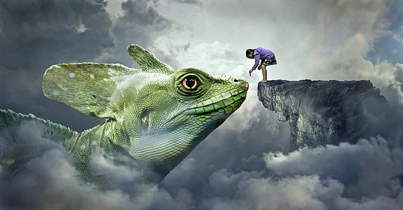 child standing on rock facing chameleon 3D wallpaper thumbnail