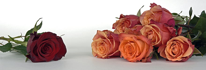 red and orange Rose flower bouquets thumbnail