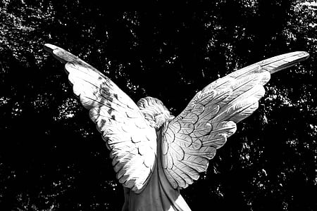 greyscale photography of female angel statue thumbnail