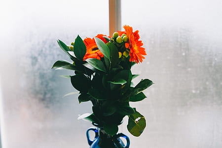 orange petaled flower bouquet thumbnail