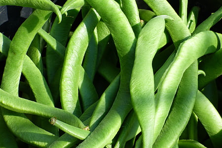closeup view of peas thumbnail