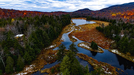 aerial photo of lake near the green tress at daytime thumbnail