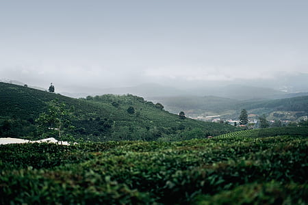 green mountains during daytime thumbnail