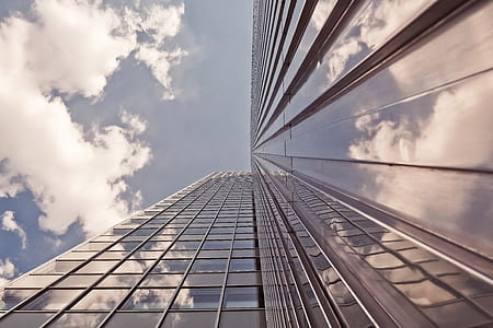 worm's eye view photo of a building thumbnail
