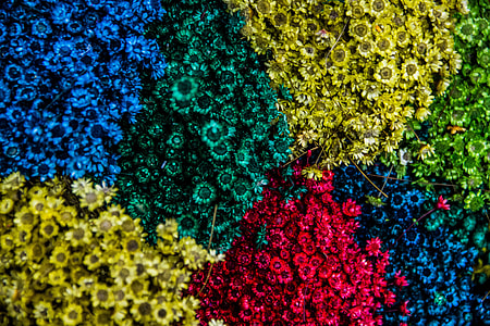 assorted-color flowers thumbnail