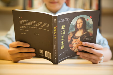 person reading Mona Lisa book thumbnail