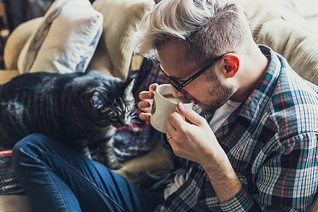 man drinking coffee near gray Tabby cat thumbnail