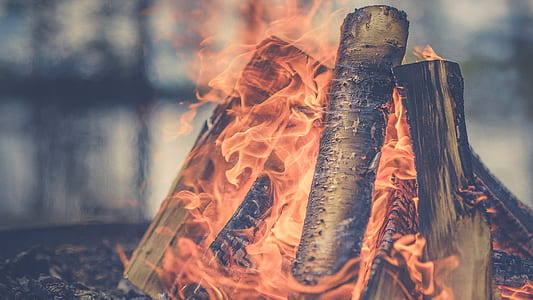 macro shot of bonfire thumbnail