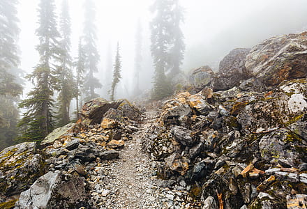 gray and brown rock underneath fogs thumbnail