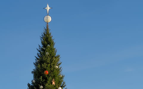Christmas tree thumbnail
