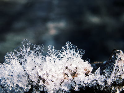 close-up photo of snowflake thumbnail