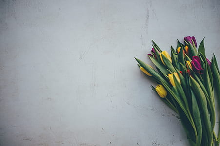 yellow and purple flowers on white concrete surface thumbnail