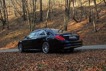 blue sedan parked on roadside surrounded by trees thumbnail