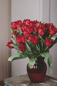 Bouquet of Red Roses on Glass Vase thumbnail