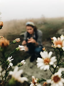 selective focus of white daisies near woman sitting in front holding camera thumbnail