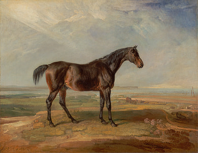 brown horse painting standing on field thumbnail