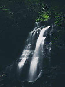 waterfalls on forest thumbnail