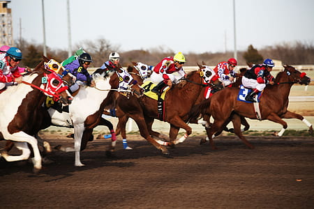 photography of horse race thumbnail