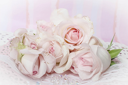 Wedding rose flowers thumbnail