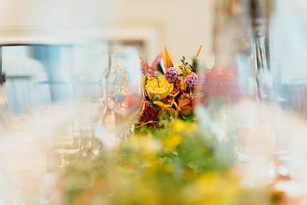 tilt shift lens photography of flower centerpiece thumbnail