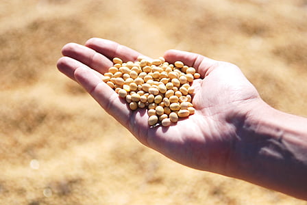 person holding letils thumbnail