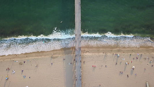 people on sandbanks thumbnail