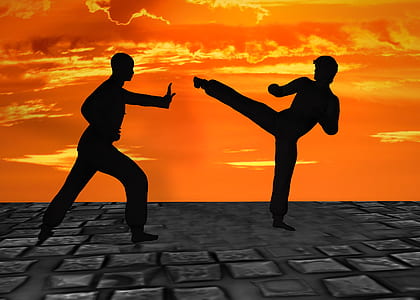 silhouette of person taking karate thumbnail