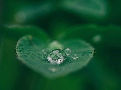 droplet of water macro photography thumbnail