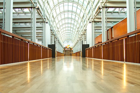 empty brown wooden hallway with glass roof thumbnail
