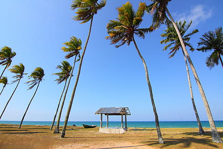sea, landscape, nature, sky thumbnail