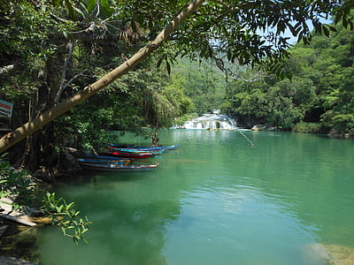 two blue boats on body of water beside tree thumbnail