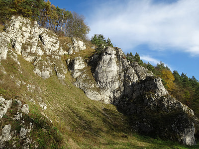 Paternity National Park, Poland thumbnail