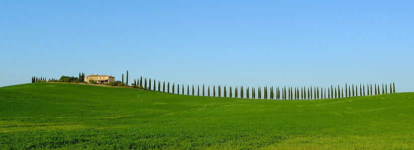 green grass field on hill at daytime thumbnail