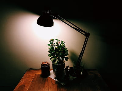 light, night, dark, silhouette thumbnail