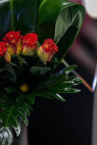 Close-up of little red and yellow roses thumbnail