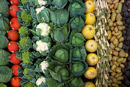 assorted vegetable lot thumbnail