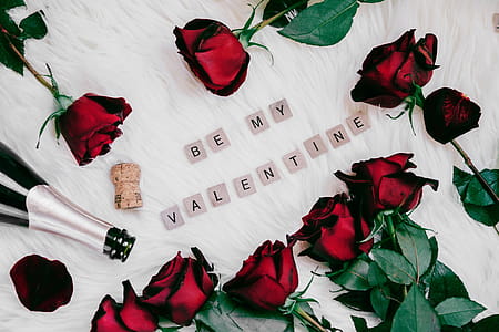 Be My Valentine With Roses Photo thumbnail