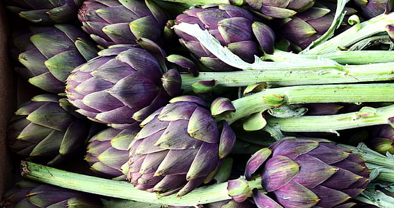 purple dragon fruit lot thumbnail