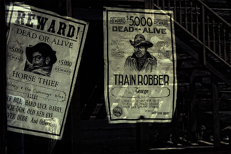two Reward posters with $5000 rewards thumbnail