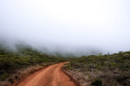 Dirt Road Between Grass Field Covered With Fogs thumbnail