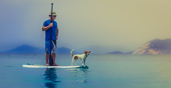 man in blue crew-neck shirt surfing near white and brown dog during daytime thumbnail