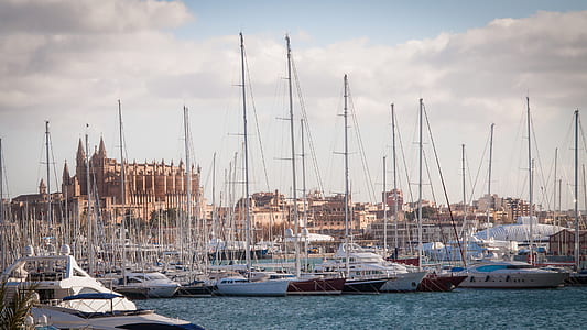 sea, city, sky, water thumbnail