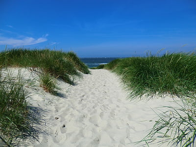 footprints on beach sand surrounded by green grass field thumbnail