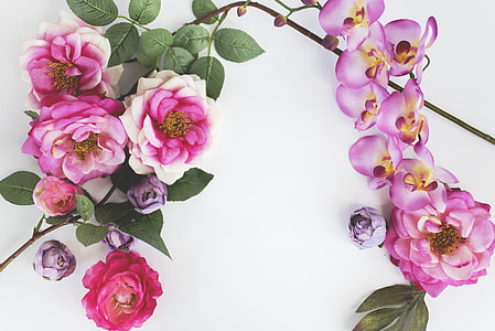 pink-and-white petaled flower decor thumbnail