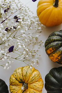 Small yellow and dark green pumpkins on a white background thumbnail