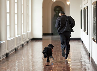 man running with black dog on corridor thumbnail
